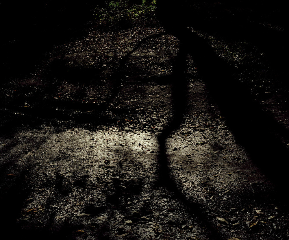 lores_h6-jpg