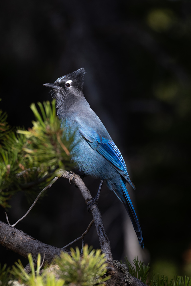 dsc_5167-jpg