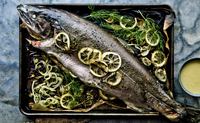 fish_006-jpg