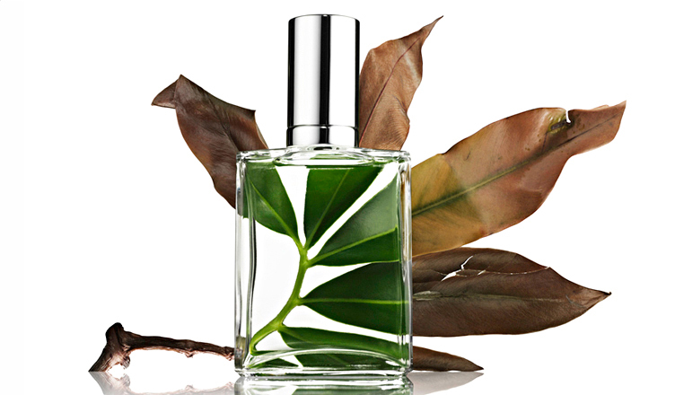 011-690purfume_leaf_02-jpg