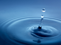 drops_0186-jpg