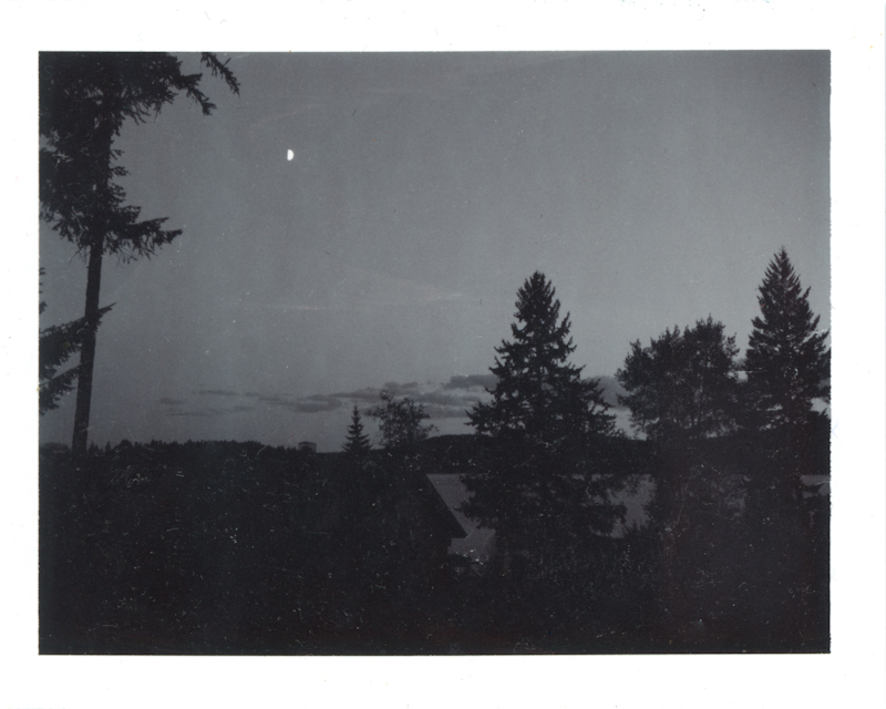 polaroid_004-jpeg