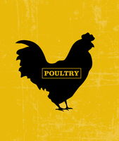 chicken_001-jpg