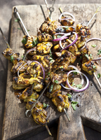 ws_grillmaster_tandoorichickenkebab_65-jpg