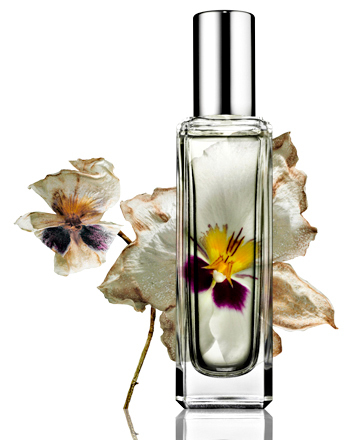 012-145purfume_flowers_-jpg