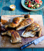 chicken_010-jpg