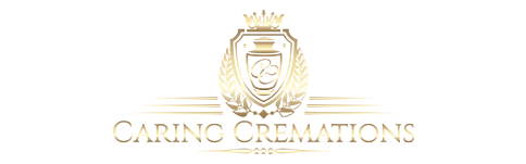 site logo