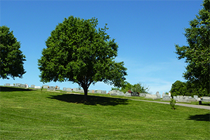 Cemetery at Riverview Memorial Gardens