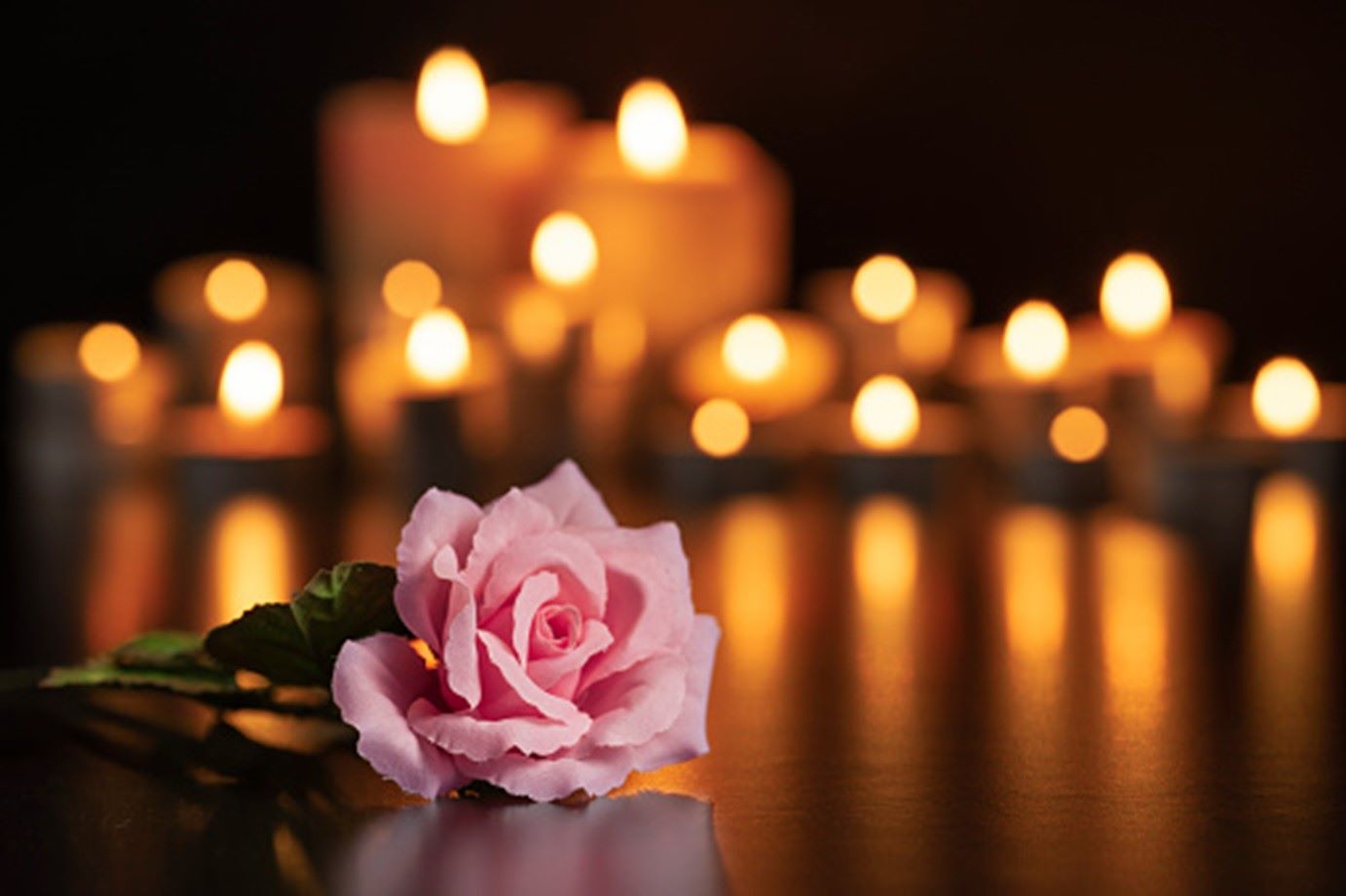 Single pink rose with lit candles, symbolizing remembrance and honoring loved ones in Middletown.