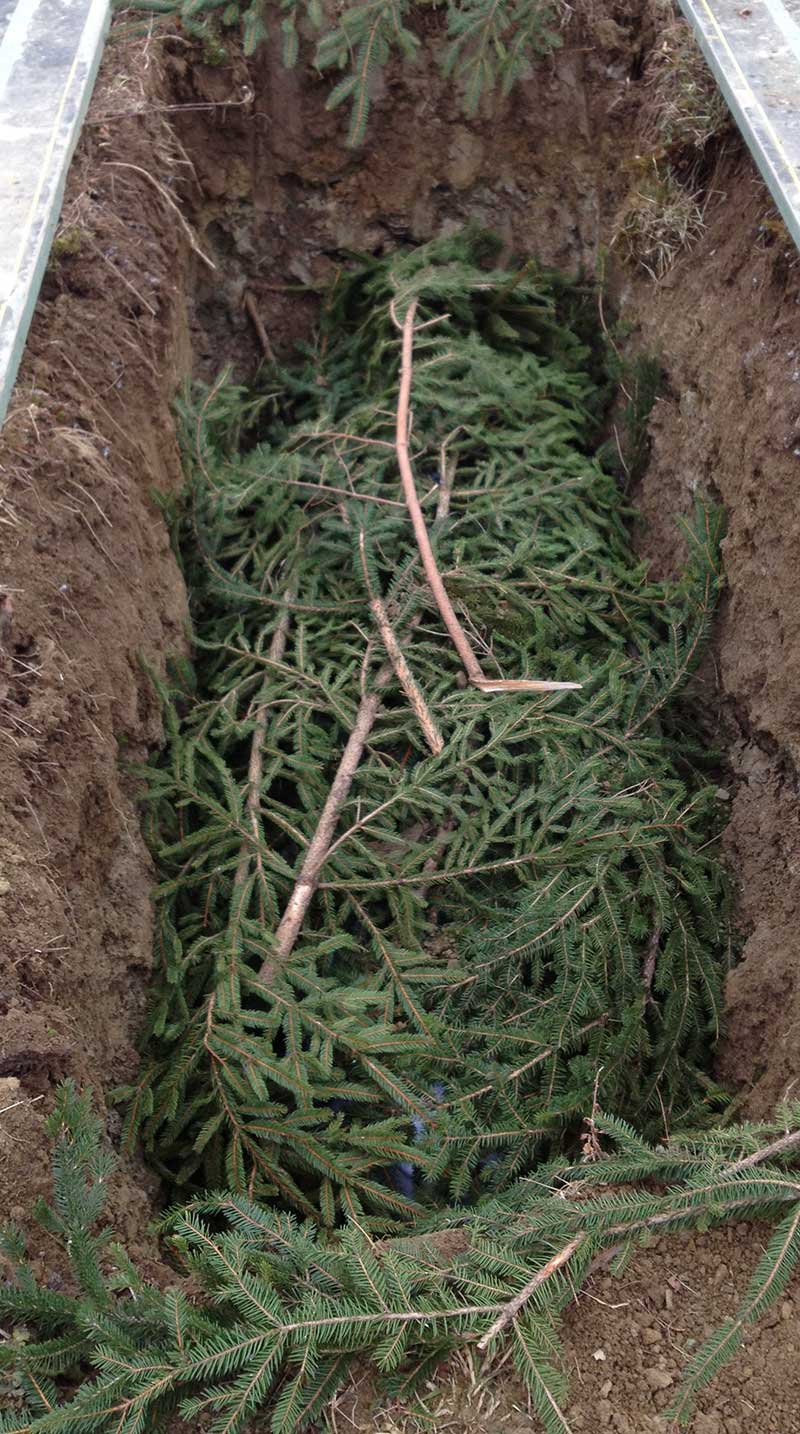 Green Burial Kleinberg Funeral Services