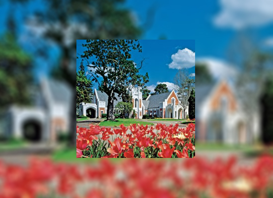 Tower Chapel Bordered by Red Tulips