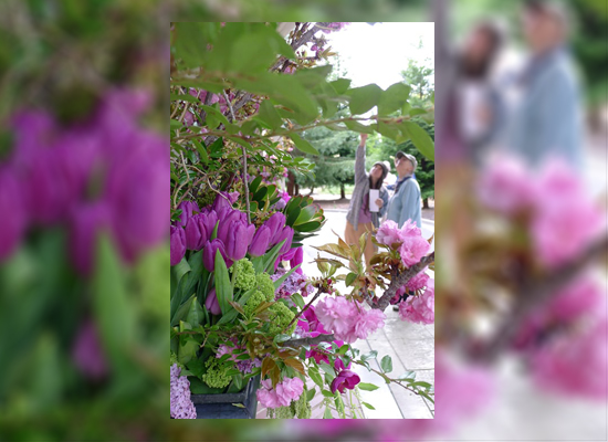 Flower Viewing at Mountain View Cemetery