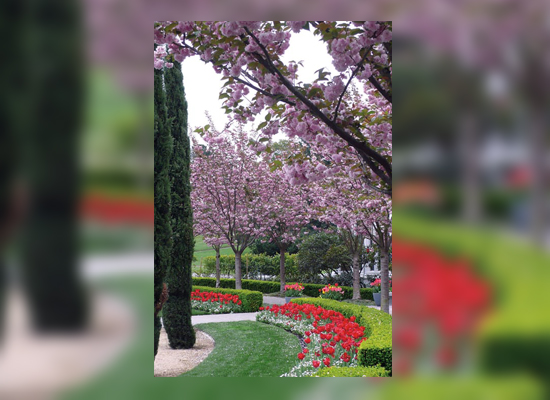 Piedmont Funeral Services Entrance