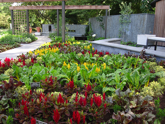 Herb Garden at Brooklyn Botanic Garden. Photo: Rebecca Bullene