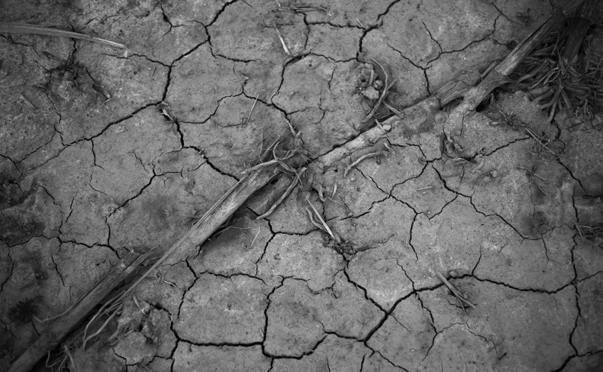 at the edge of the field