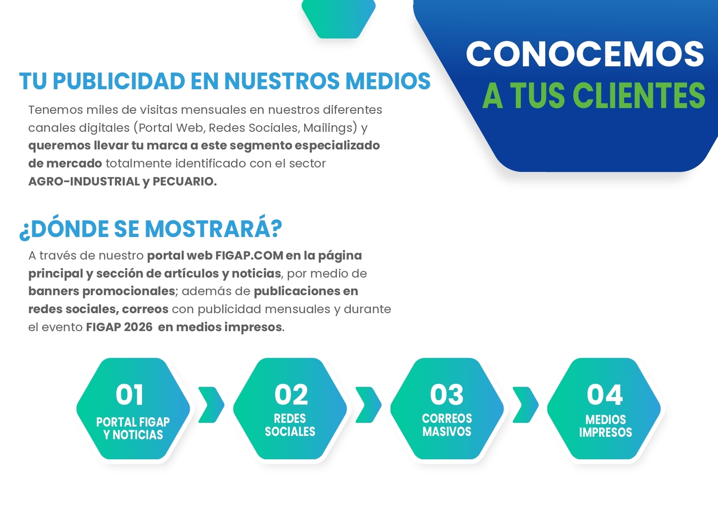 Propuesta Marketing Digital - Figap 2026_page-0003