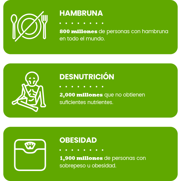 datos-alimentacion-global
