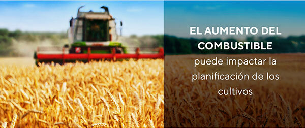content2-Newsletter-AumentoCombustible