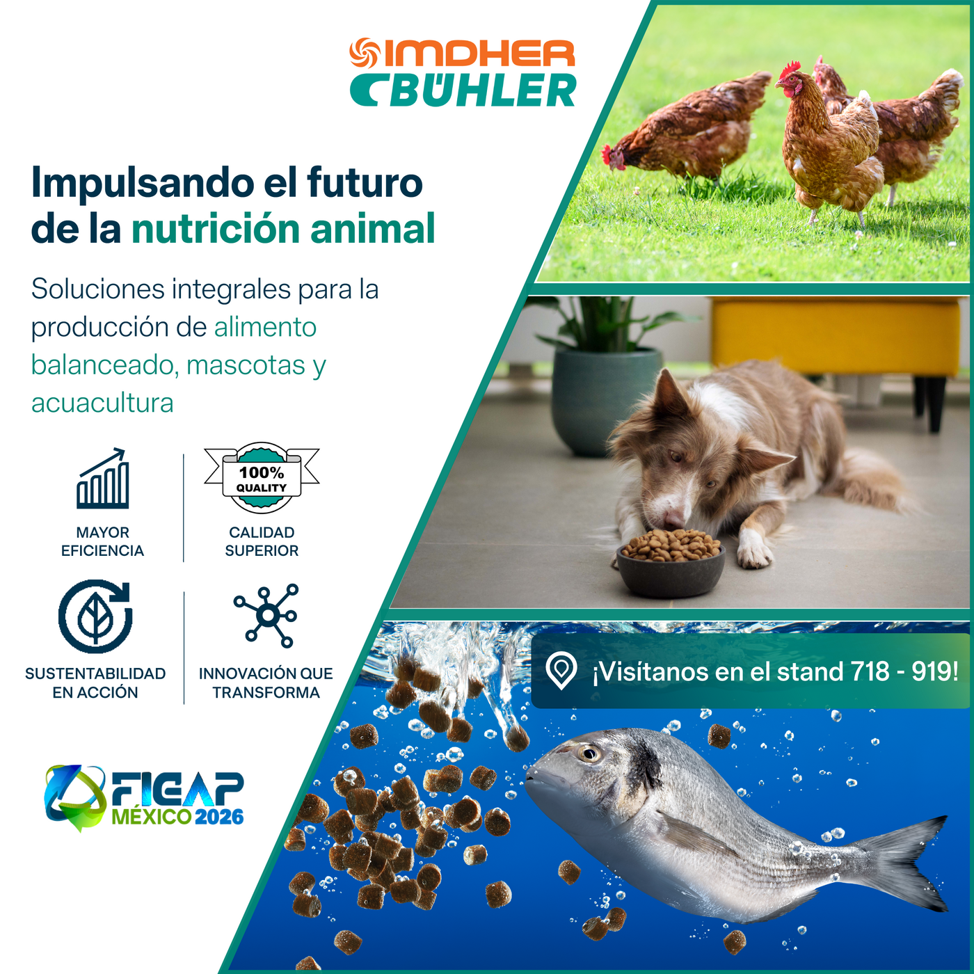 Diseño Post Imdher-Bühler_2026