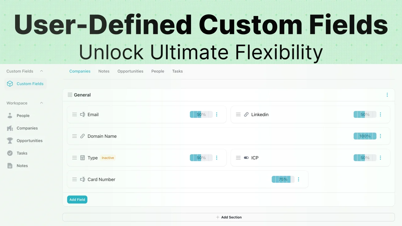 Custom Fields plugin screenshot