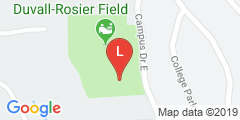 Duvall-Rosier Fields