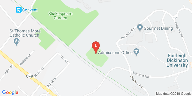 image for Turf Field