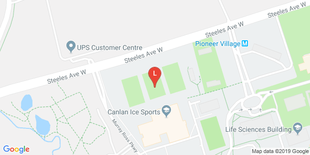 image for Rugby Field