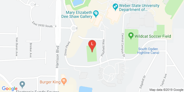 image for PT Turf Field