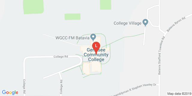 image for Grass Fields