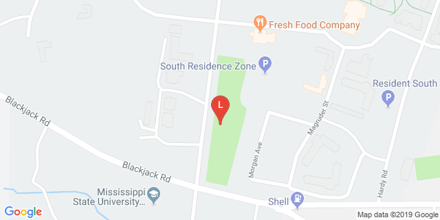 image for Multipurpose Field