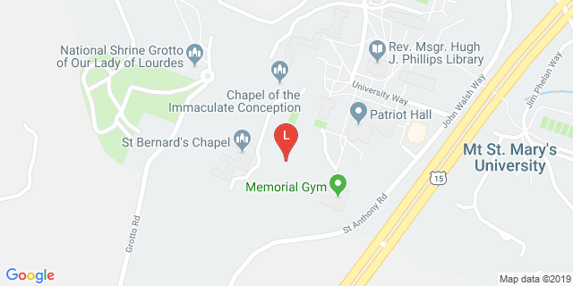 image for Echo Fields