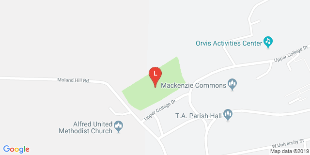 image for Turf Field