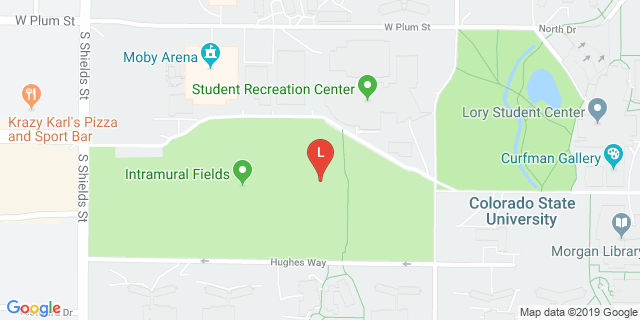 image for Intramural Fields