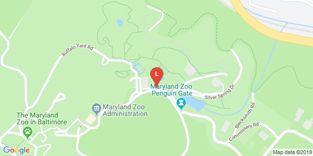 image for Druid Hill Park