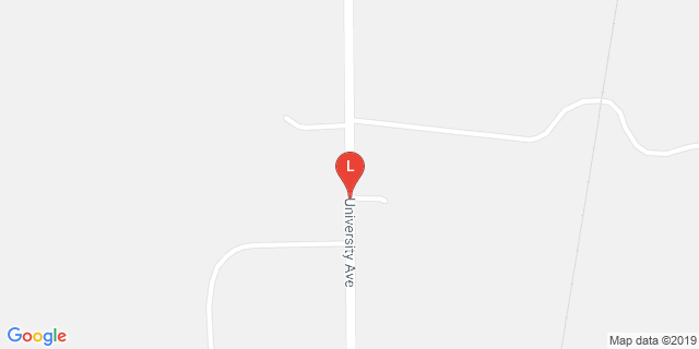 image for Bethel On Campus Rink