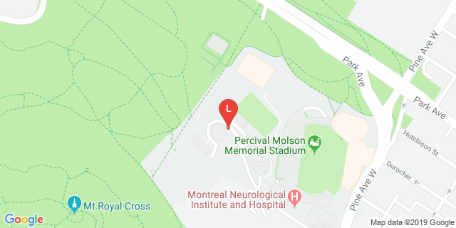 image for Forbes Field