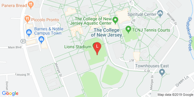 image for Lion's Stadium