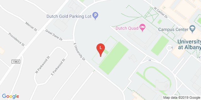 image for Dutch Basketball Courts