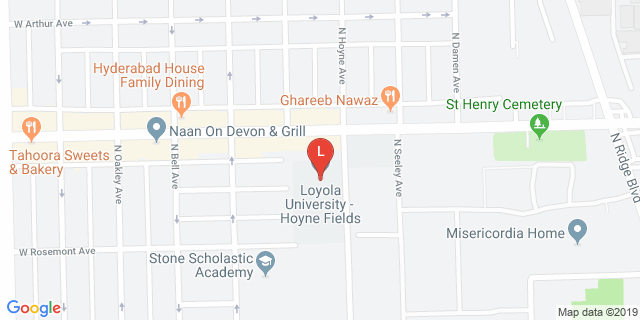 image for Hoyne Field