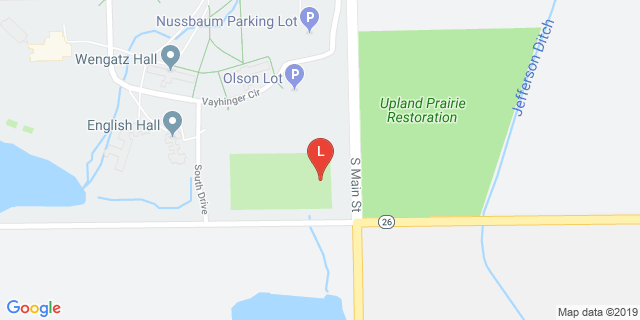 image for Football Field #4