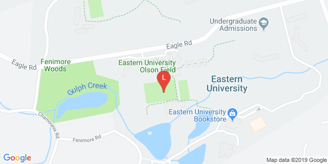 image for Turf Field