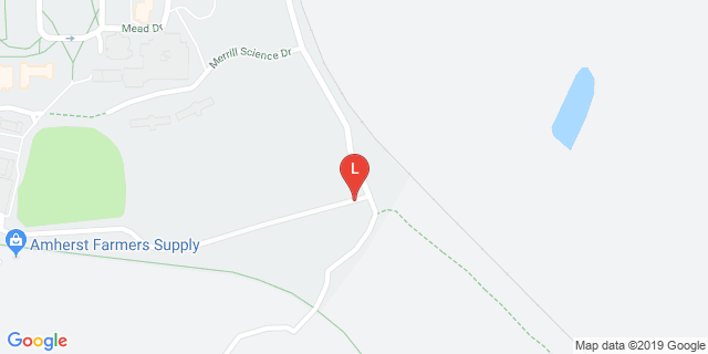 image for Tennis Courts