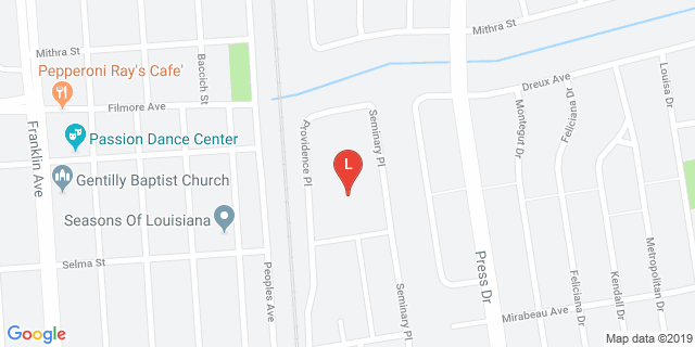 image for The REC Fields