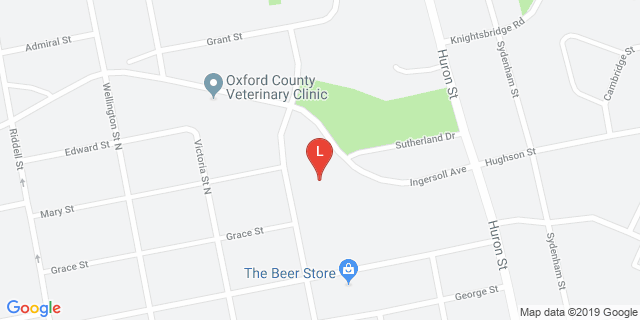 image for Woodstock Curling Club