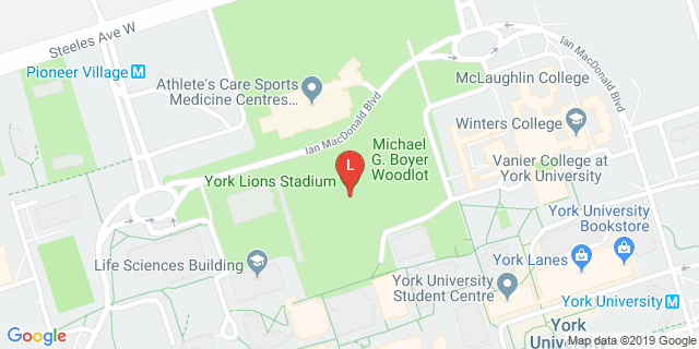 image for York Lions Stadium