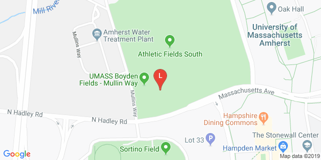 image for Recreation Turf Fields