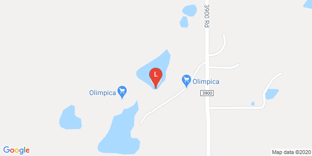 image for Virtual Programming