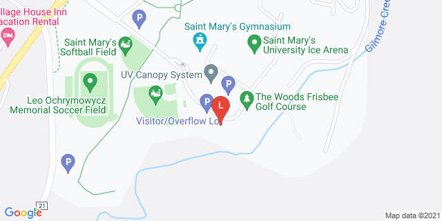 image for Overflow Parking Lot Court