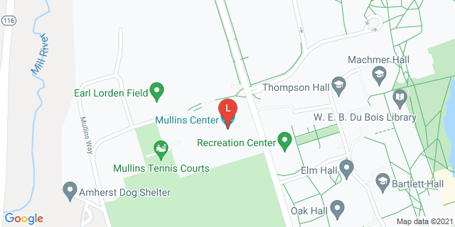 image for Mullins Arena