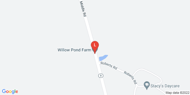 image for Willow Pond Farm